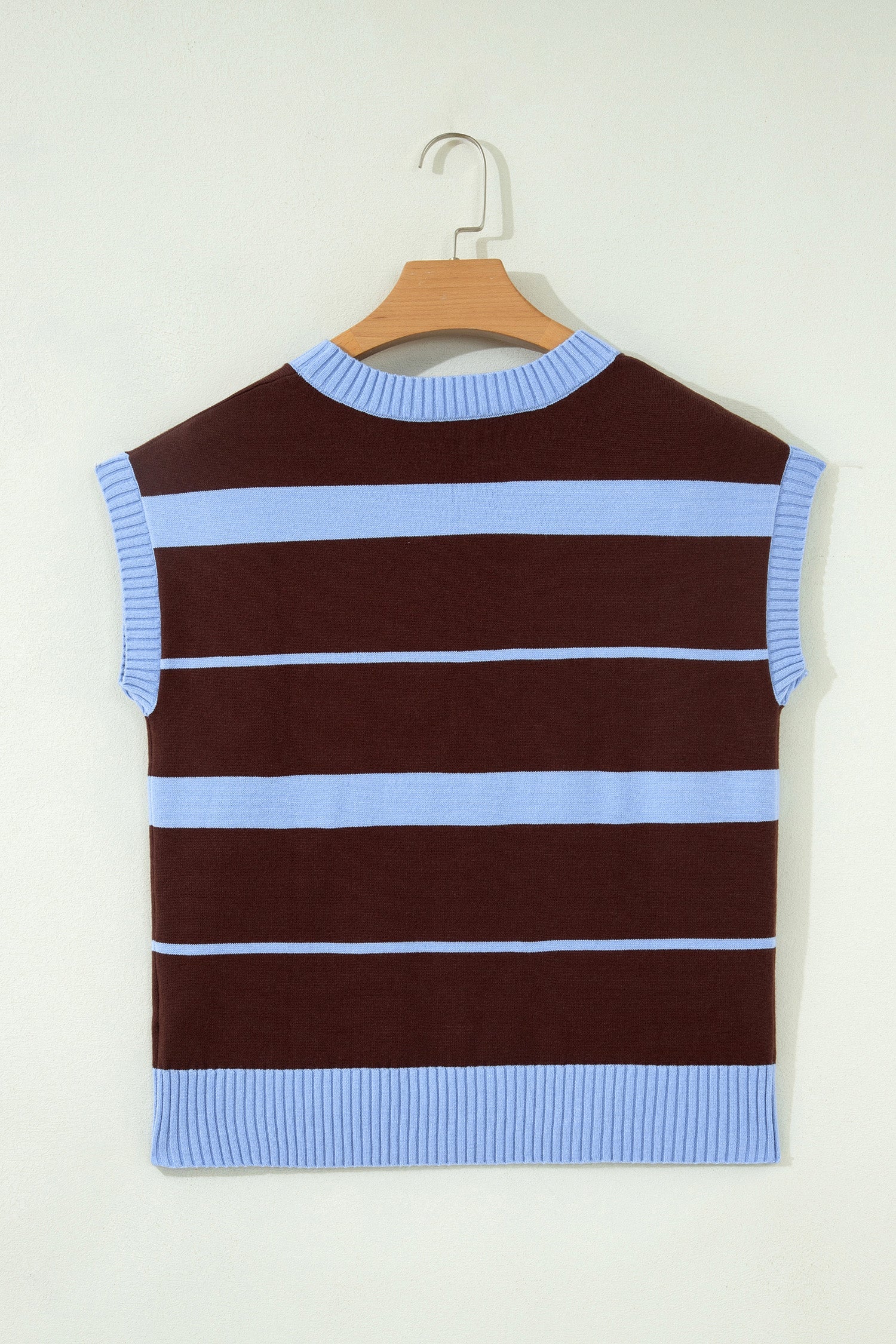 Sky Blue Stripe Striped Short Sleeve Round Neck Casual Knit Top