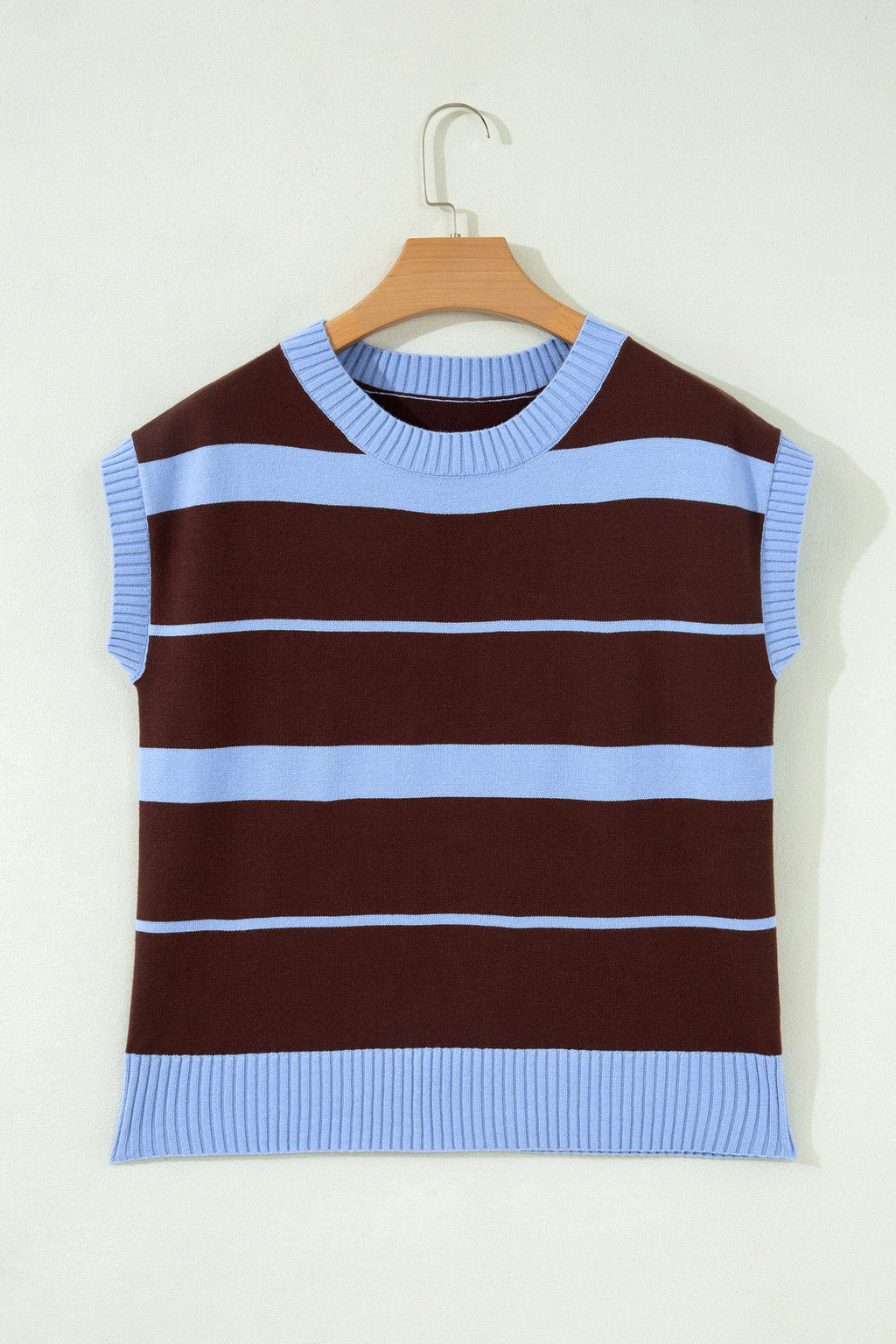 Sky Blue Stripe Striped Short Sleeve Round Neck Casual Knit Top