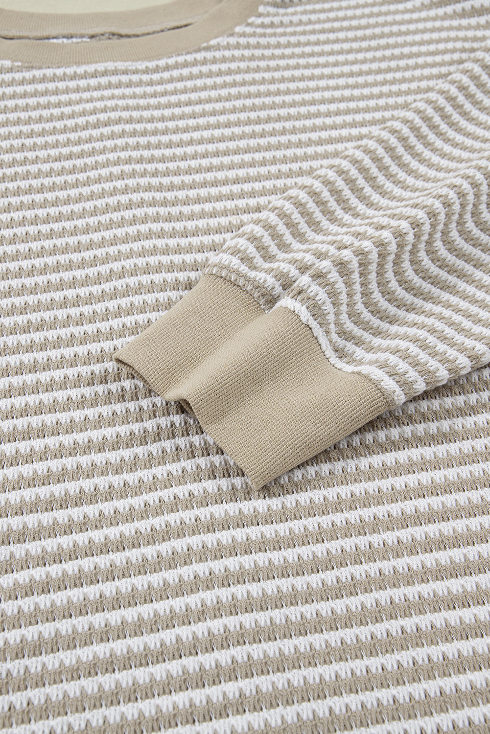 Vanessa Knit Ribbed Trim Long Sleeve PLUS Top