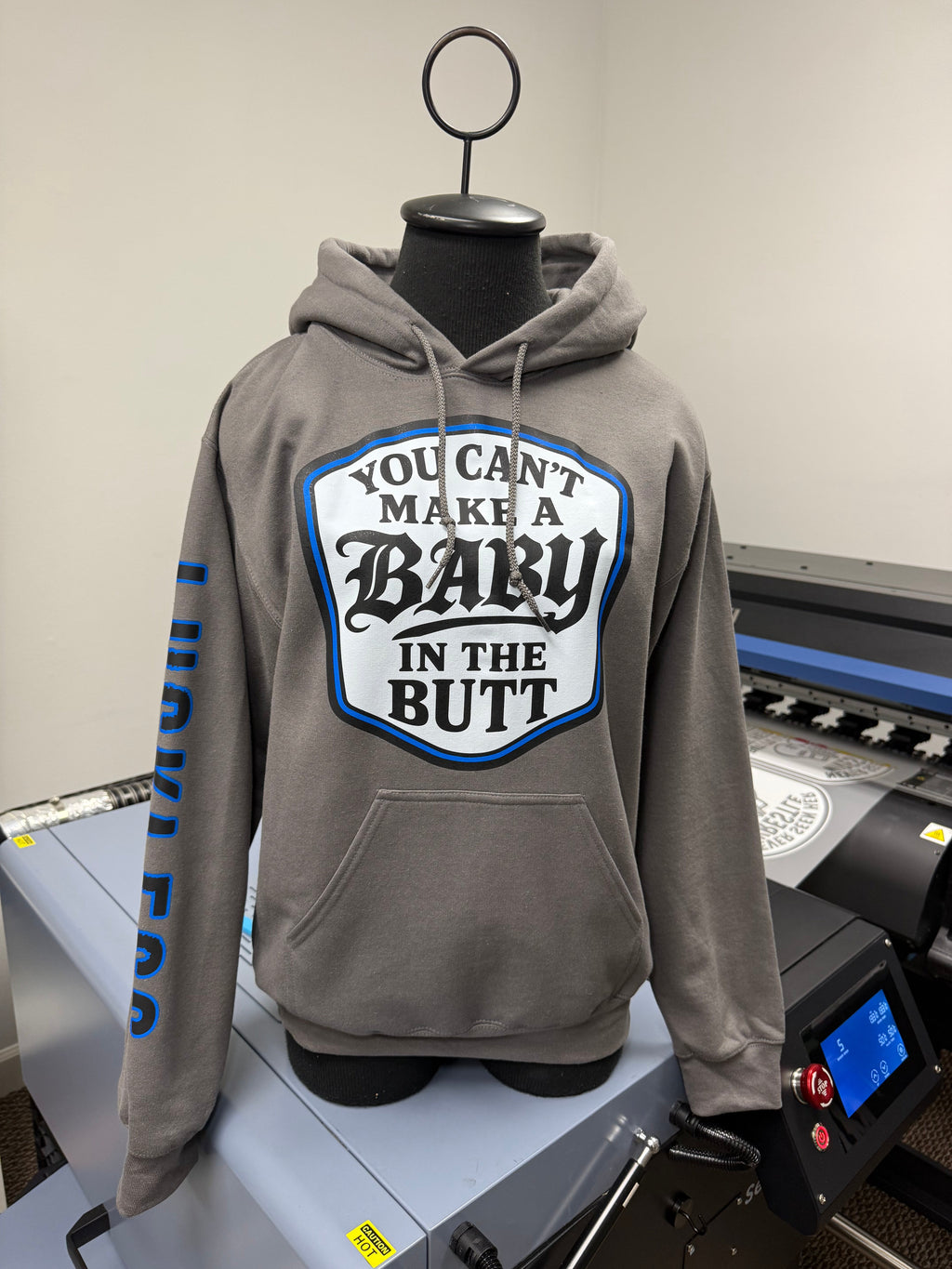 You Can't Make A Baby In The Butt Hoodie
