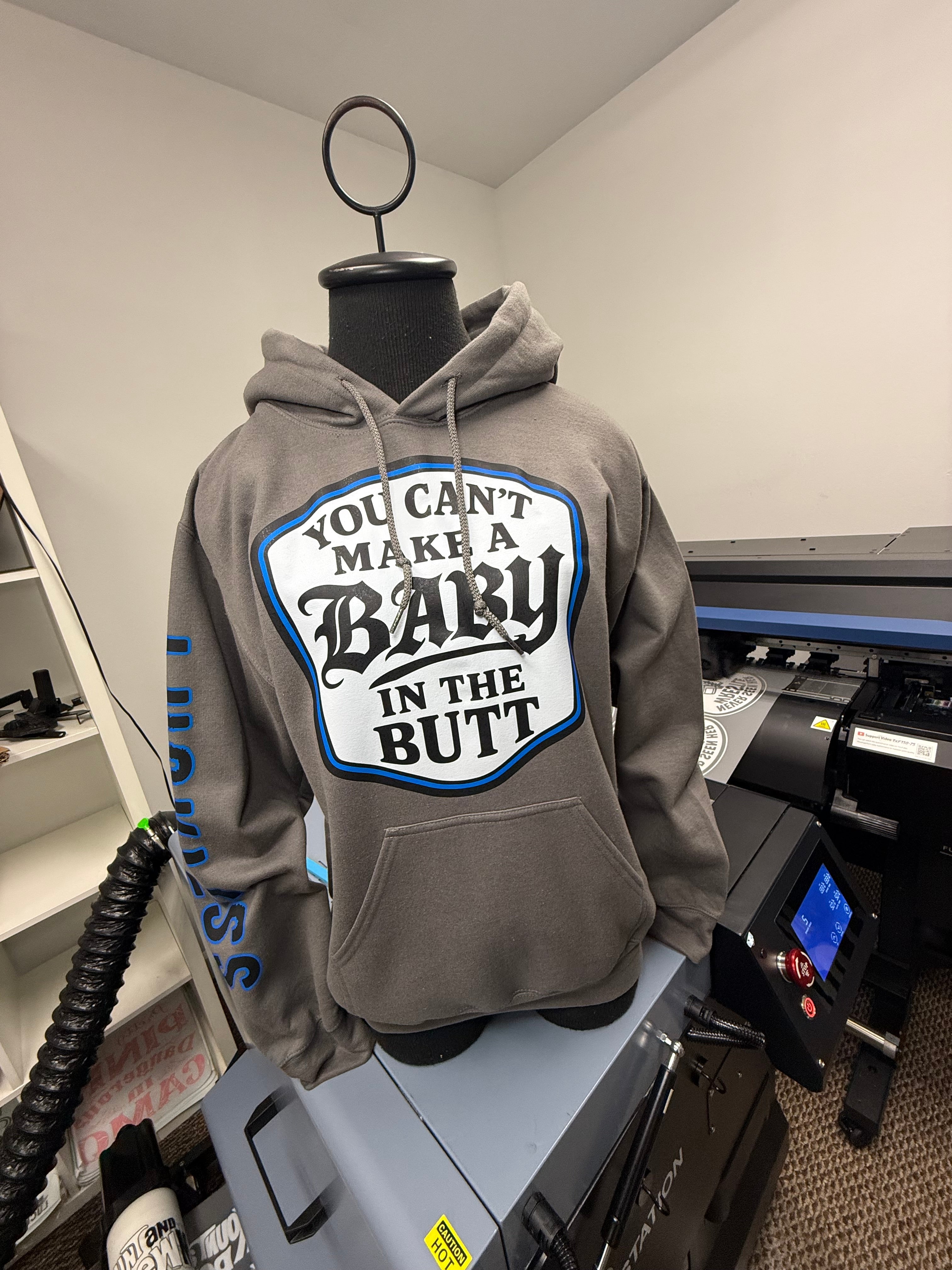 You Can't Make A Baby In The Butt Hoodie