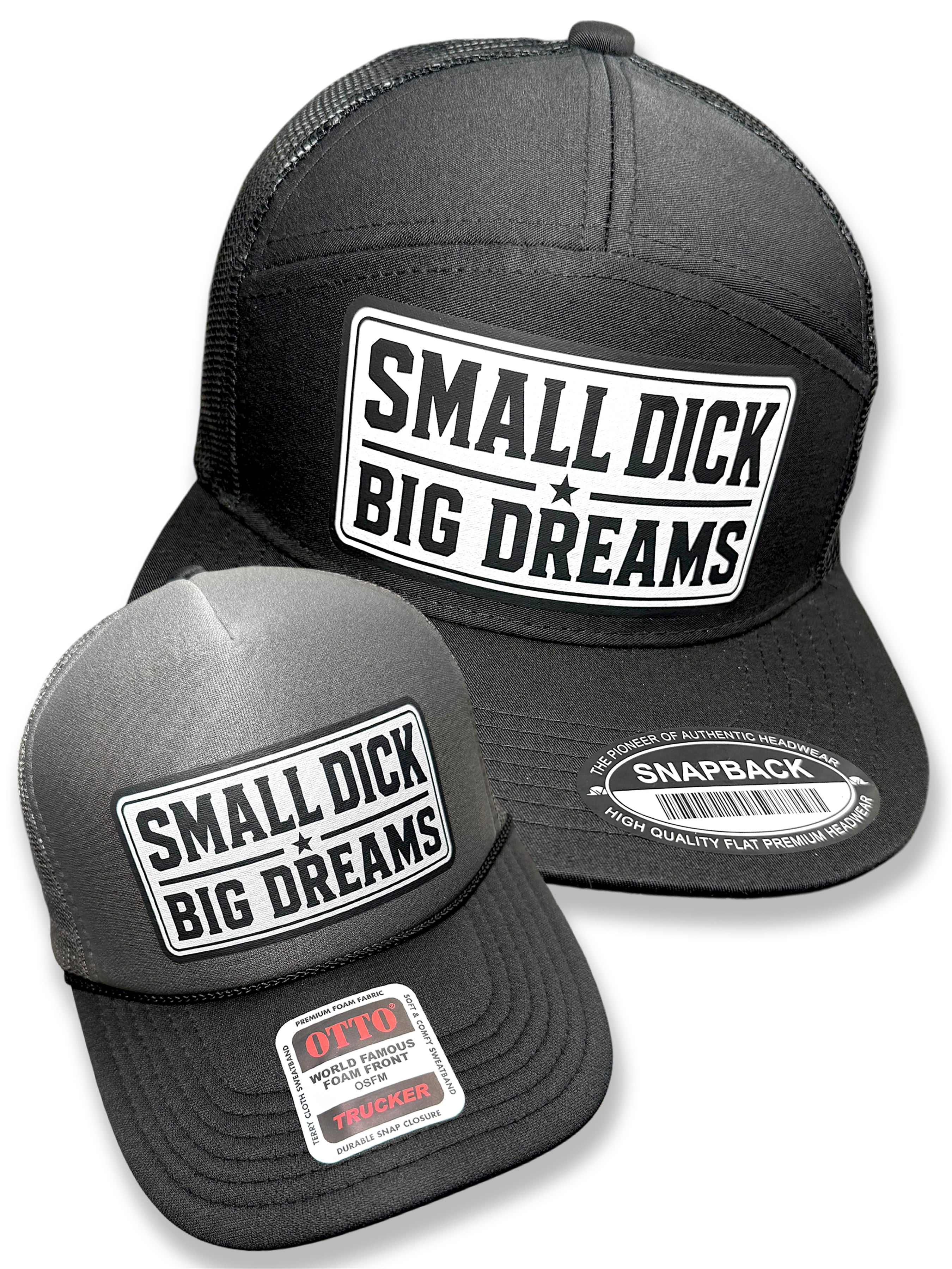 Small Dick Big Dreams 2026 | Snapback Hat