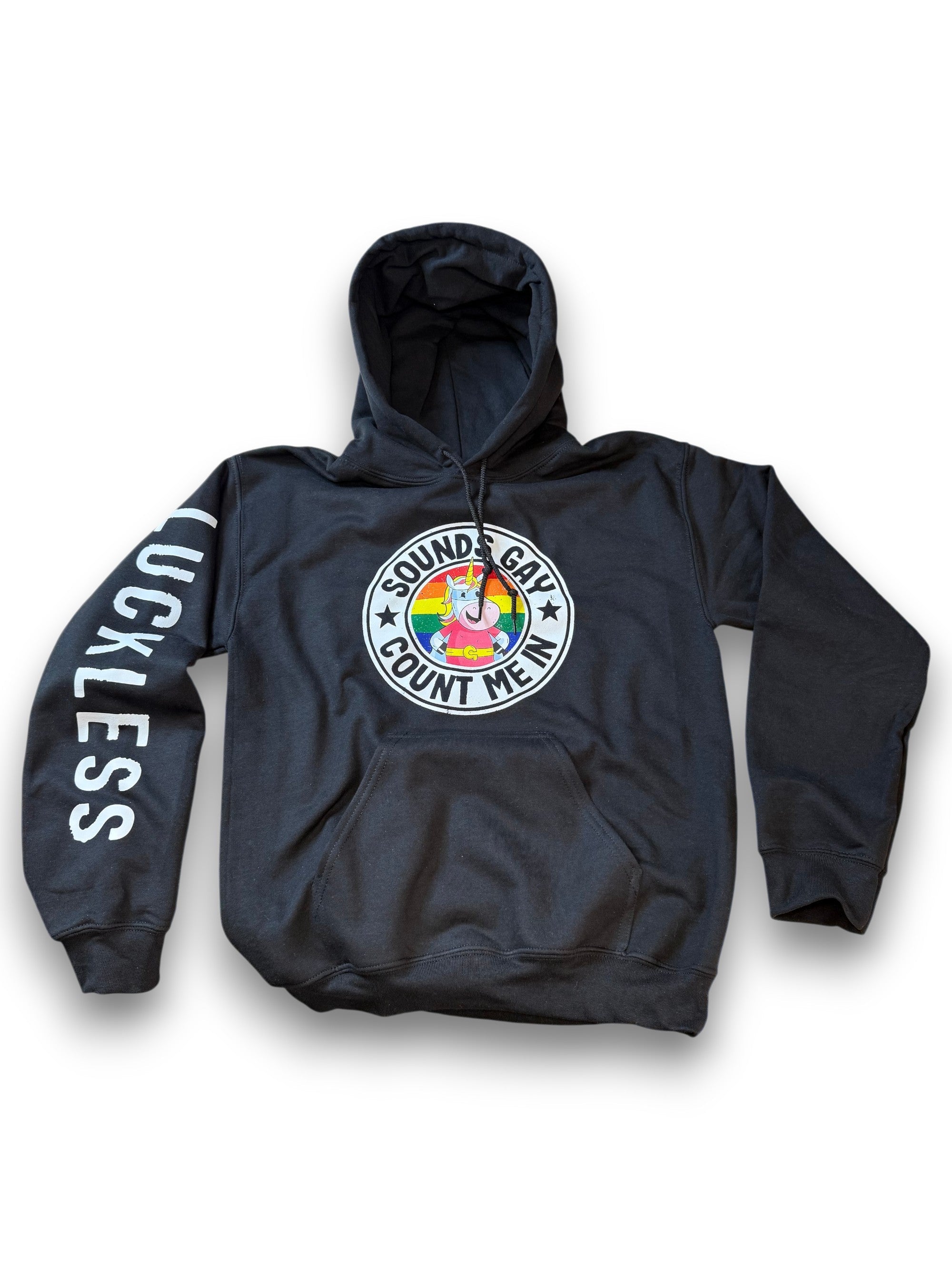 Sounds Gay Count Me In Hoodie