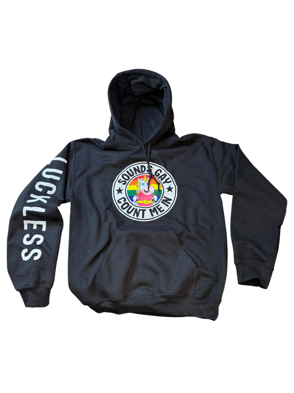 Sounds Gay Count Me In Hoodie