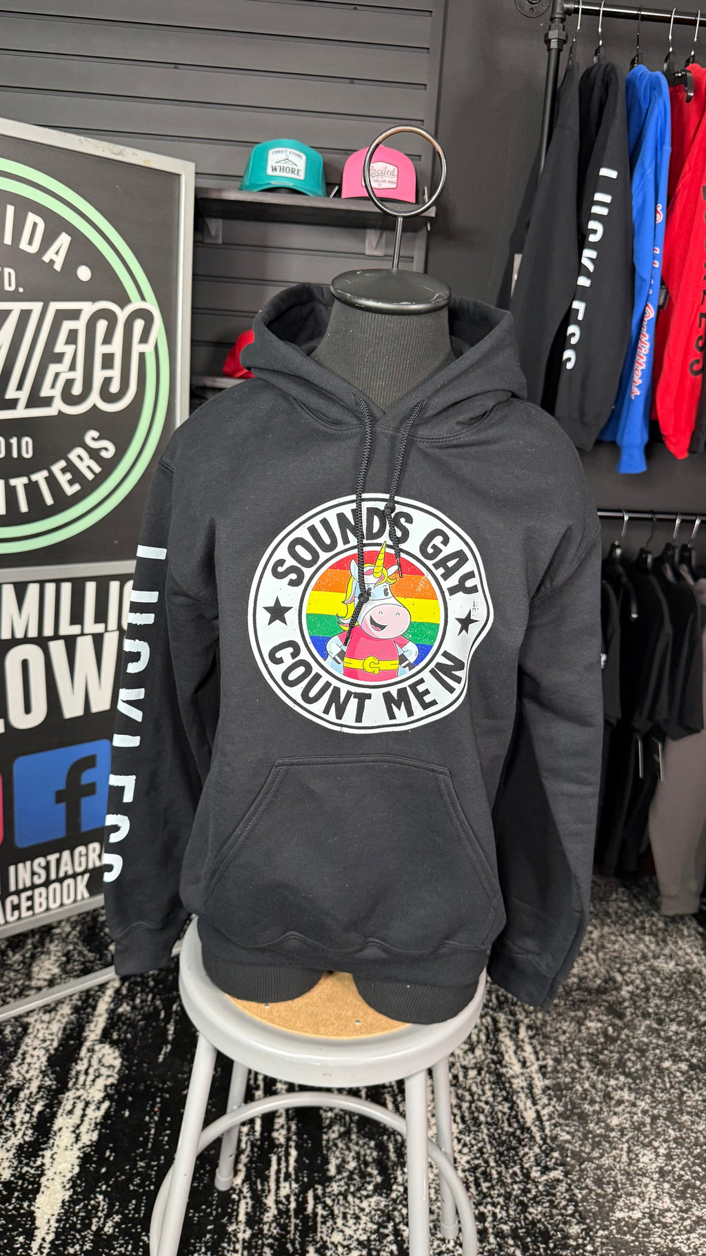 Sounds Gay Count Me In Hoodie