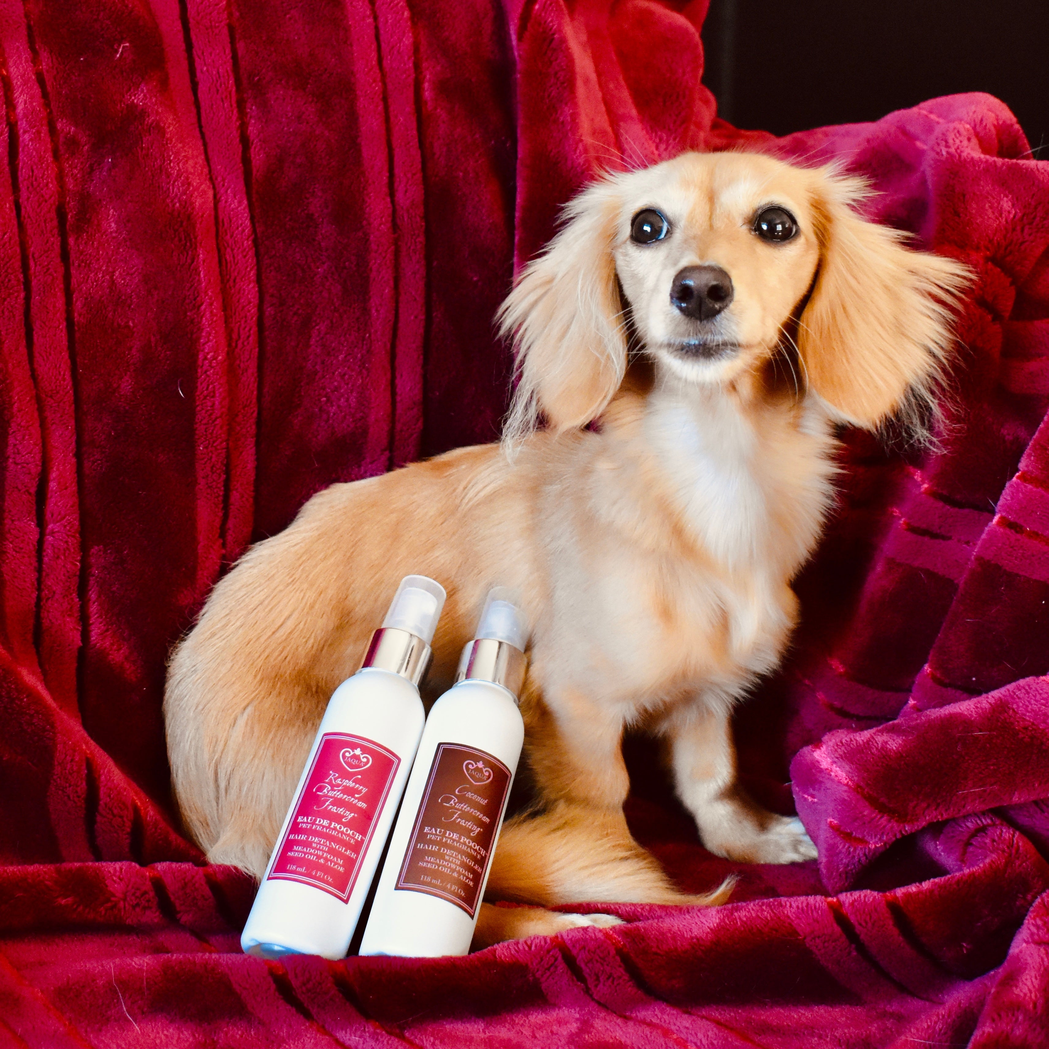 Coconut Buttercream Frosting Eau de Pooch Pet Fragrance and Hair Detangler Spray