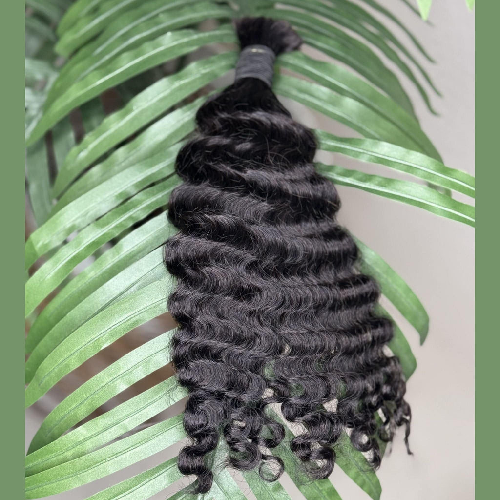 Burmese Curly