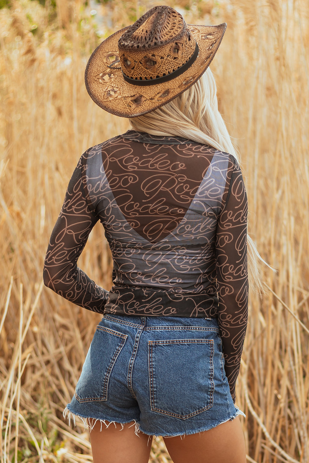Amanda Sleeve Mesh top Long Sleeve Top