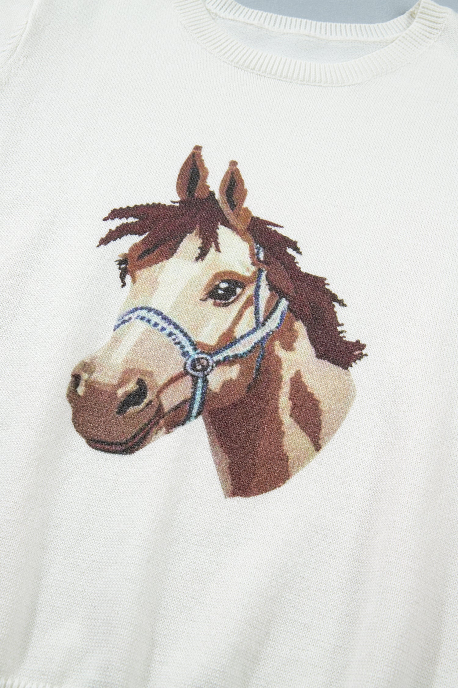 Regina Printed Short Sleeve Sweater