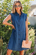 Anika Edge Collared Shift Dress
